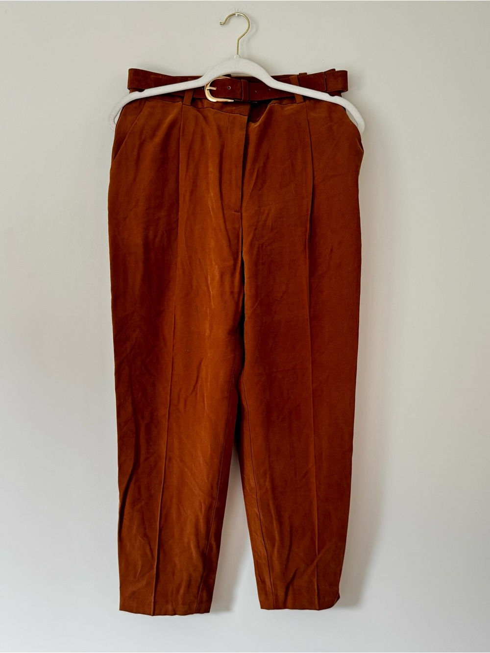 NWOT Zara Pleated Ankle Trousers w/ Faux Suede Belt, Toffee Brown – Medium